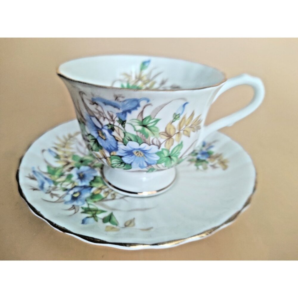 Vintage Clarence England fine bone china teacup and saucer morning glory 1950's